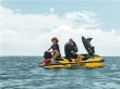 immagine 4 di SEA DOO RXT-X RS 300 MILLENIUM YELLOW