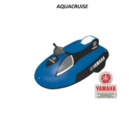 Aqua Cruiser